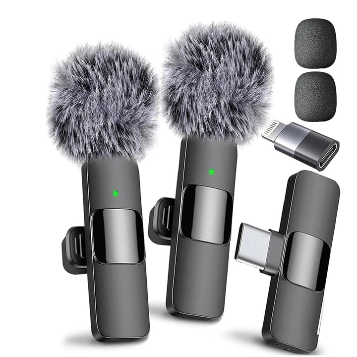 2 In 1 Video Record Microphone Type-C Charging Portable
