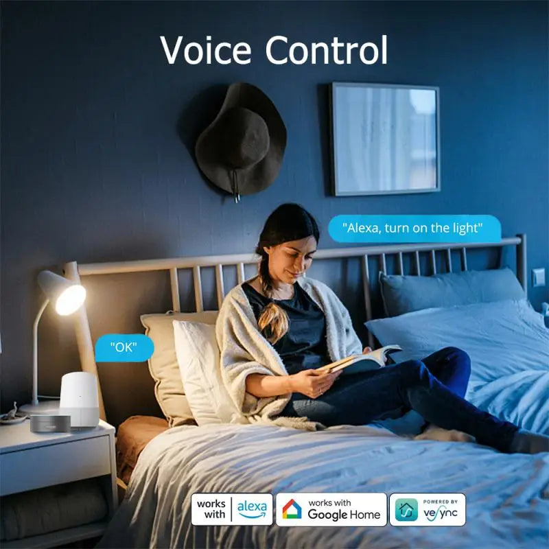 16A/20A WiFi Smart Plug Wireless Power Monitoring EU