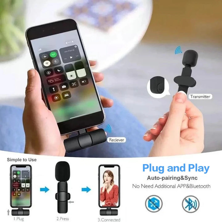 2 In 1 Video Record Microphone Type-C Charging Portable